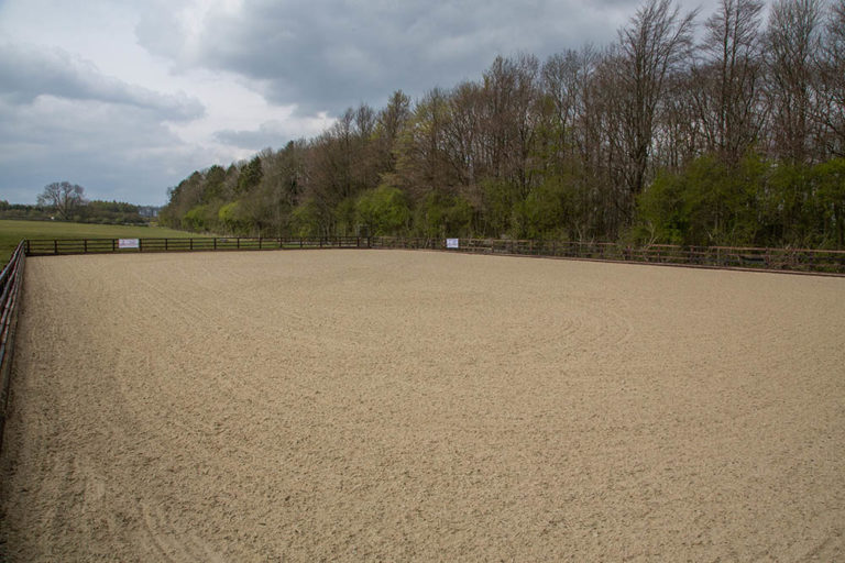 Equestrian Sand™ Equestrian Direct